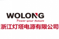 UPS 可以使用哪些电池？